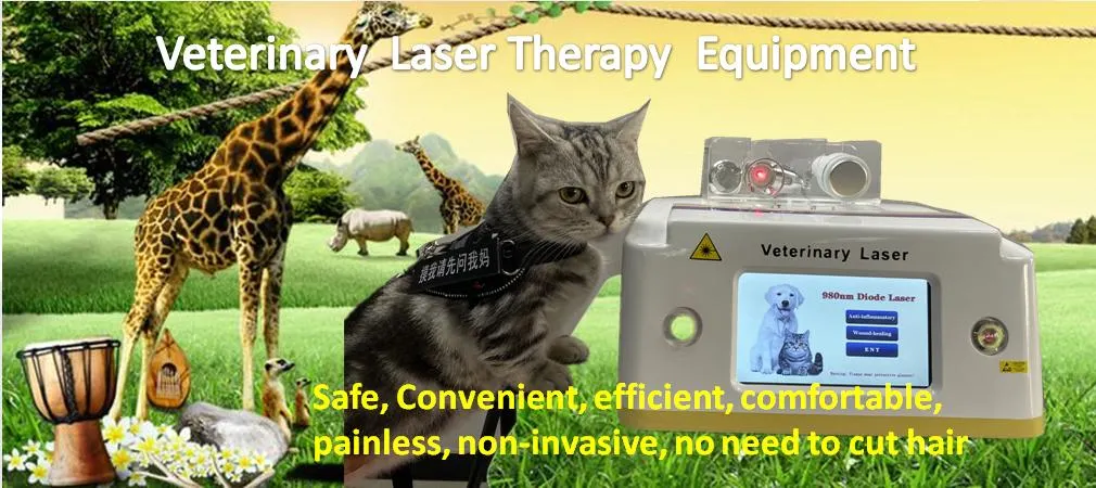 Veterinary Laser High Power Therapy Equipment for Animals and Vet Clinic Cold Laser Therapy Device