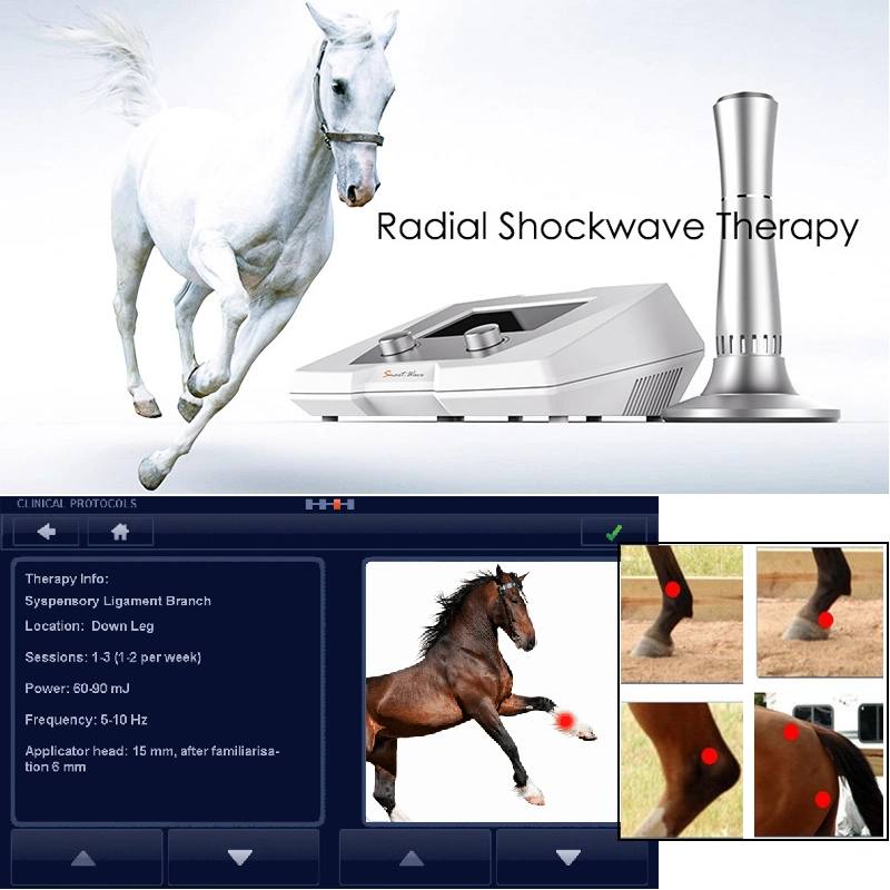 Rswt Veterinary Shockwave Product Radial Therapy Machine for Pain