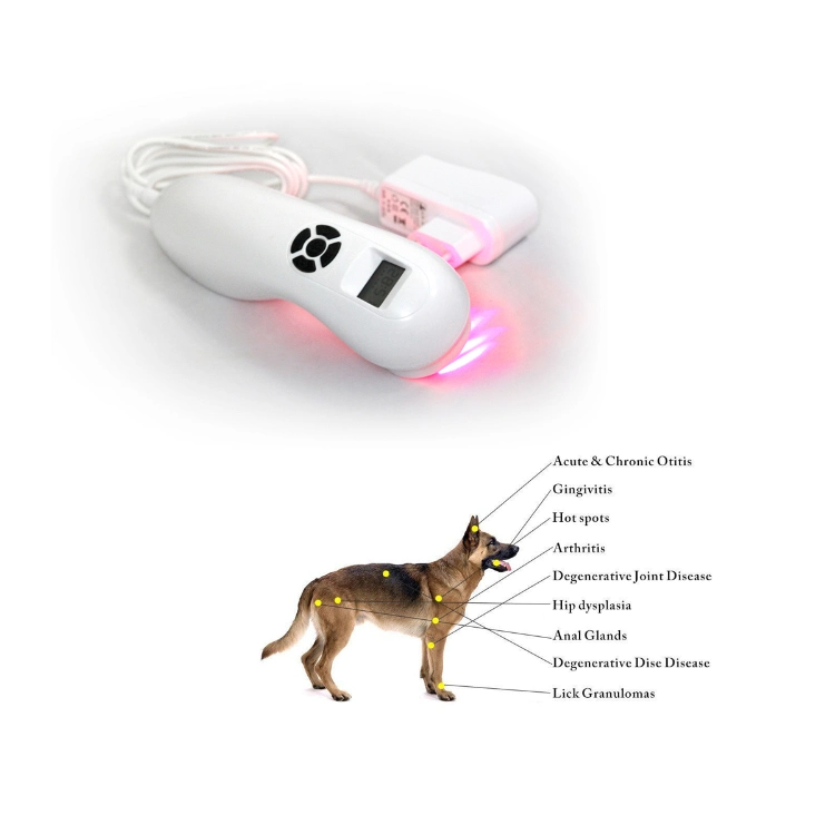 Cold Laser Therapy Pain Management Wound Healing Device for Athlete