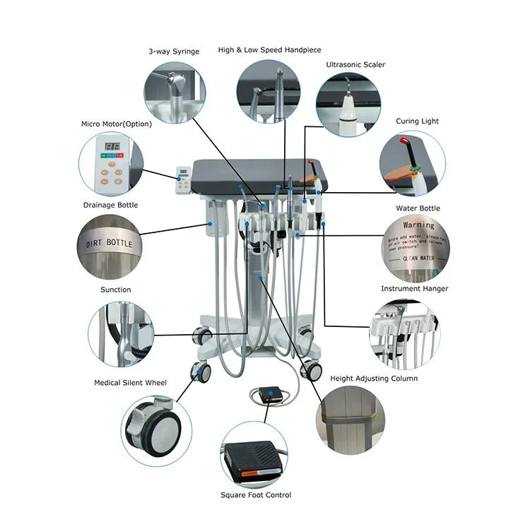 Veterinary Equipment Professional Therapy Machine Portable Dental Mobile Delivery Unit