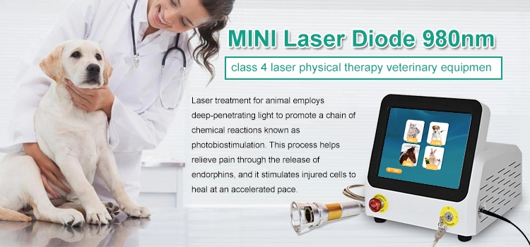 Class IV Laser Therapy Professional Veterinary Use Cold Laser Diode Laser 980nm Therapy Device Physiotherapy Laser Therapies Machine