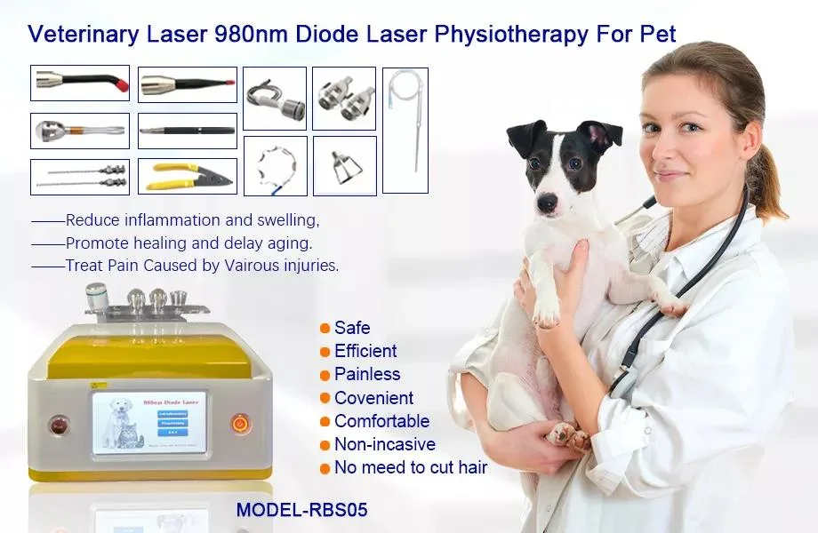 Portable Surgical Laser for Veterinary Semiconductor Laser Therapy Instrument, Veterinary Laser Therapy Machine