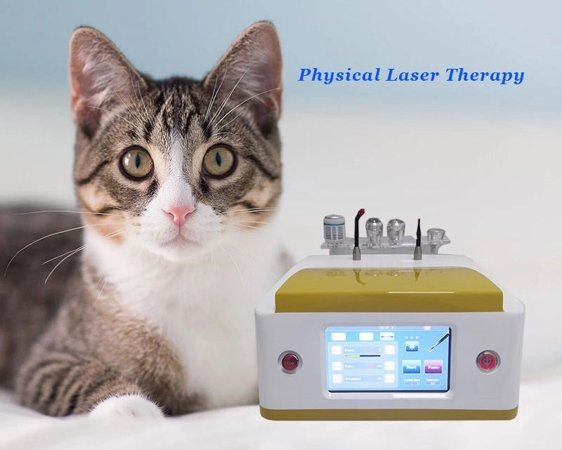 Veterinary Laser Therapy Machine Low Level Light Therapy Cold Laser Therapy