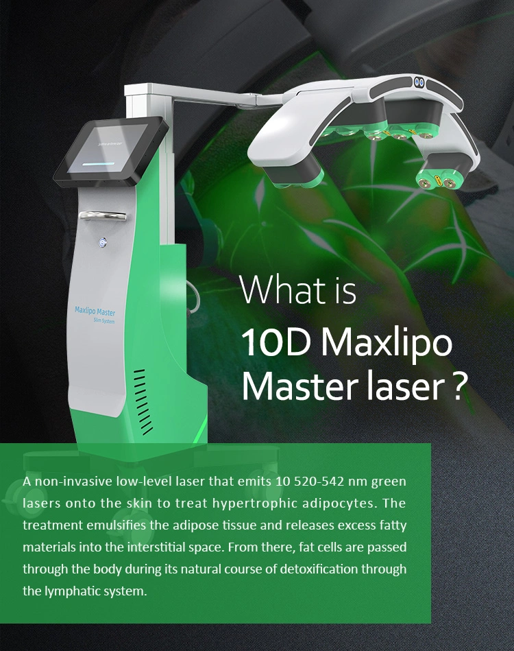 10d Maxlipo Master Cold 532nm Green Laser Body Beauty Equipment