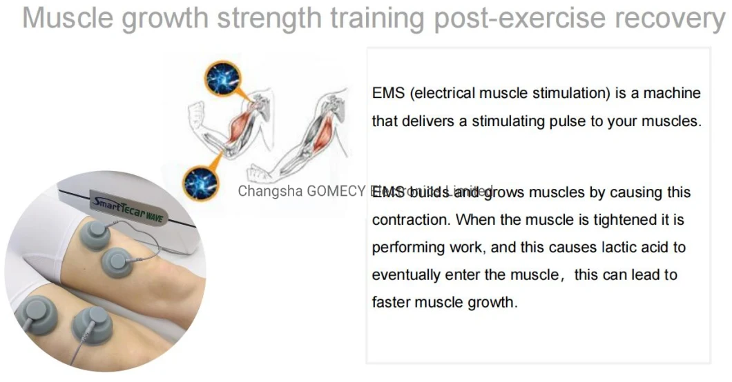 Portable Tecar Shock Wave for Body Pain-Relief