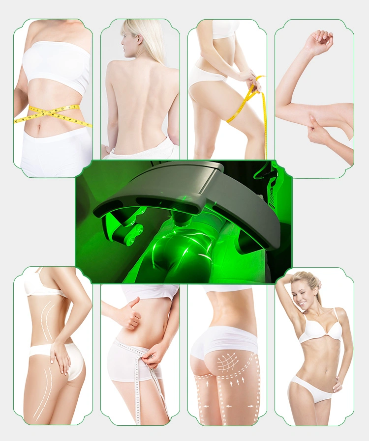 10d Maxlipo Master Cold 532nm Green Laser Body Beauty Equipment