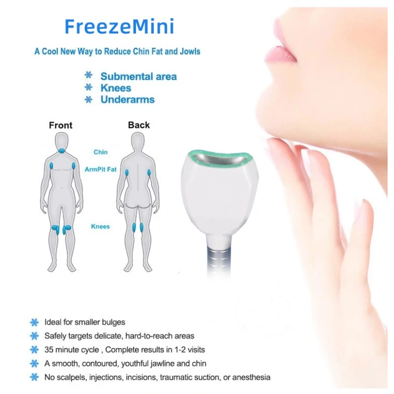 Mini Facial Criolipolisis Maquina Portatil Weight Loss Cooling Machine