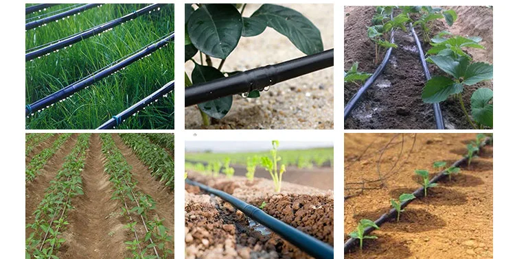 Factory Price HDPE 16mm Irrigation Pipe and Sprinkler Irrigation Systems for Agriculture Fast Delivery