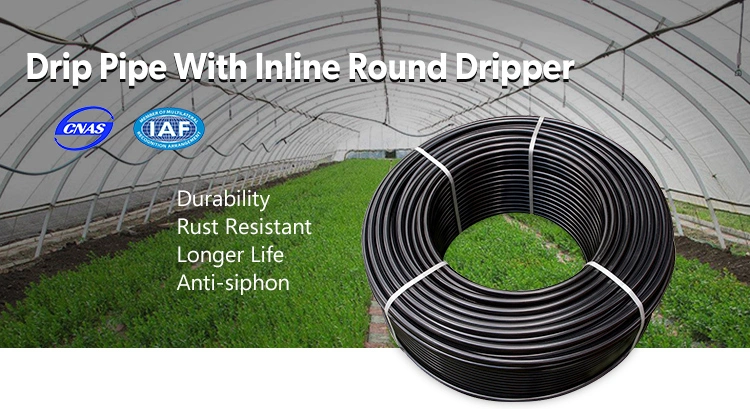 Agriculture Farm System HDPE/LDPE Pipe