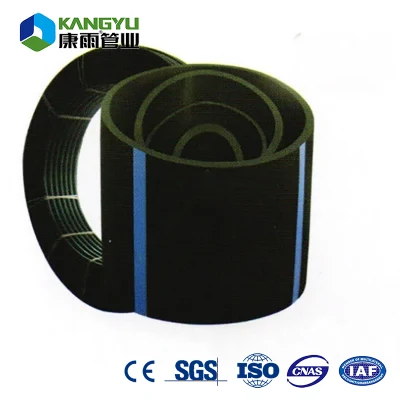 Cina fornitore tubo in plastica HDPE per liquame