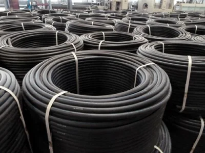 Tubo in HDPE LDPE in vendita a caldo PN16 PE100 DN110 tubo in polietilene Per tubo flessibile irrigazione per applicazioni agricole