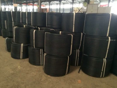 Tubo in HDPE LDPE in vendita a caldo PN16 PE100 DN110 tubo in polietilene Per tubo flessibile irrigazione per applicazioni agricole
