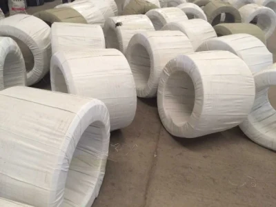 Tubo in HDPE LDPE in vendita a caldo PN16 PE100 DN110 tubo in polietilene Per tubo flessibile irrigazione per applicazioni agricole