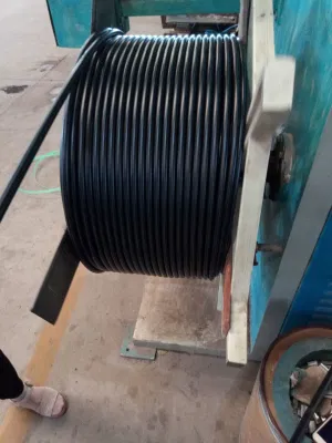 Tubo in HDPE LDPE in vendita a caldo PN16 PE100 DN110 tubo in polietilene Per tubo flessibile irrigazione per applicazioni agricole