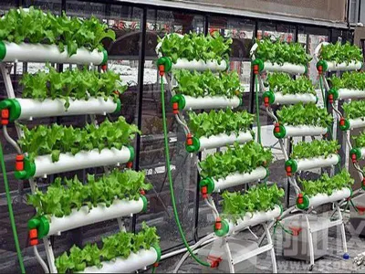 Greenhouse Hydroponics sistema NFT tubo in PVC Hydroponics