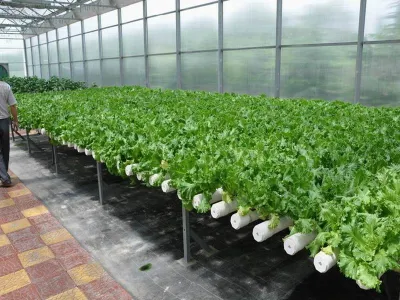 Greenhouse Hydroponics sistema NFT tubo in PVC Hydroponics
