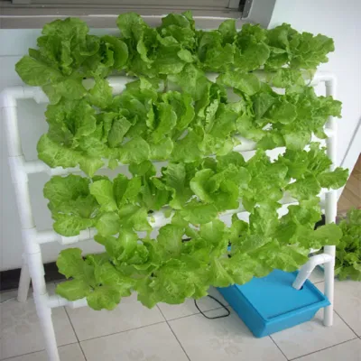 Greenhouse Hydroponics sistema NFT tubo in PVC Hydroponics