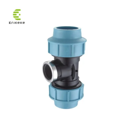 Raccordi in PP a erogazione rapida dei campioni in omaggio raccordi a compressione in HDPE per Irrigazione di alimentazione di acqua