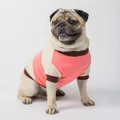 Wholesale Eco-Friendly Custom Cotton Elegant Plaid Printed Pet Dog Bandana