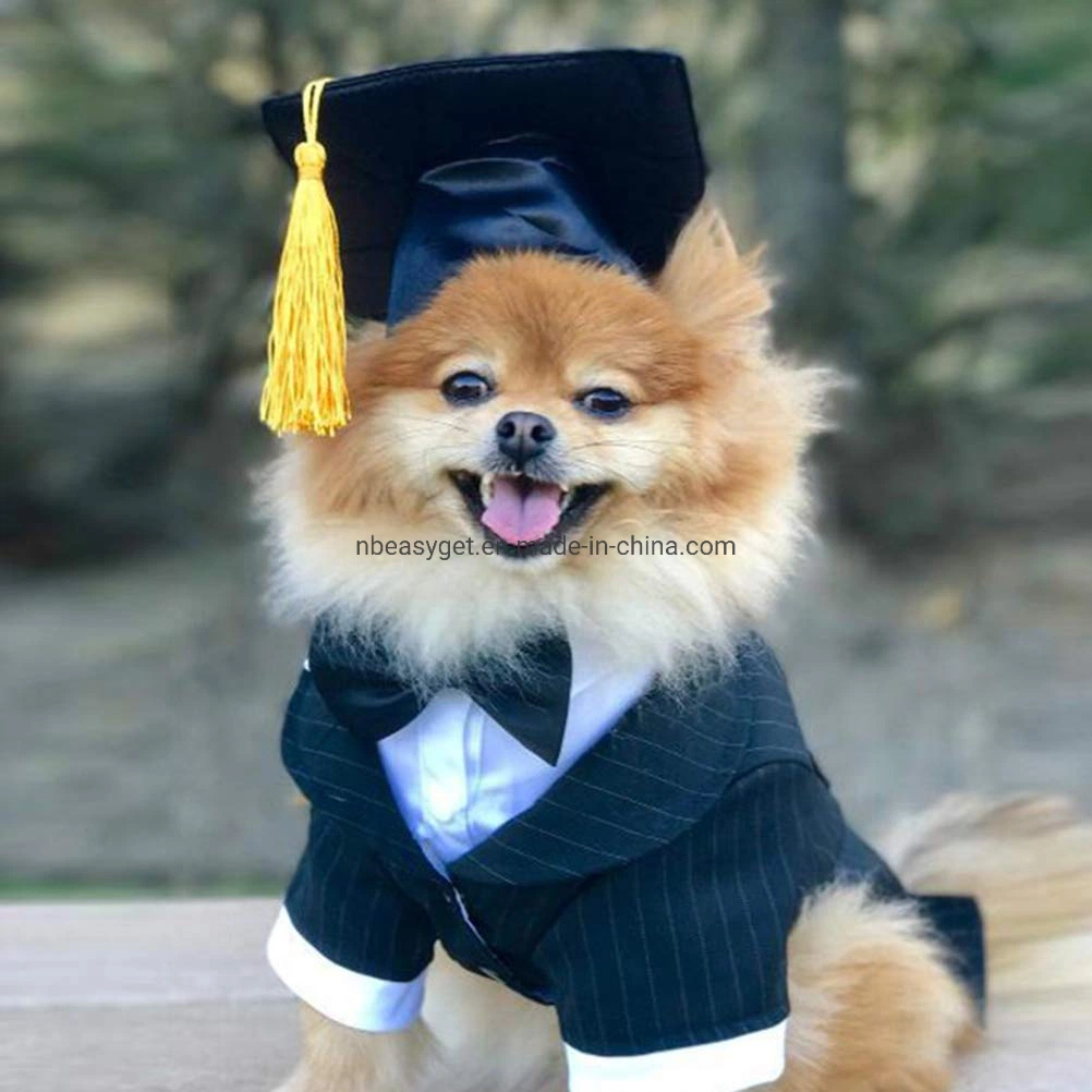 Graduation Hat Pet Accessories Black Graduation Hat with Adjustable Rope Design Pet Costume Hat Esg12444