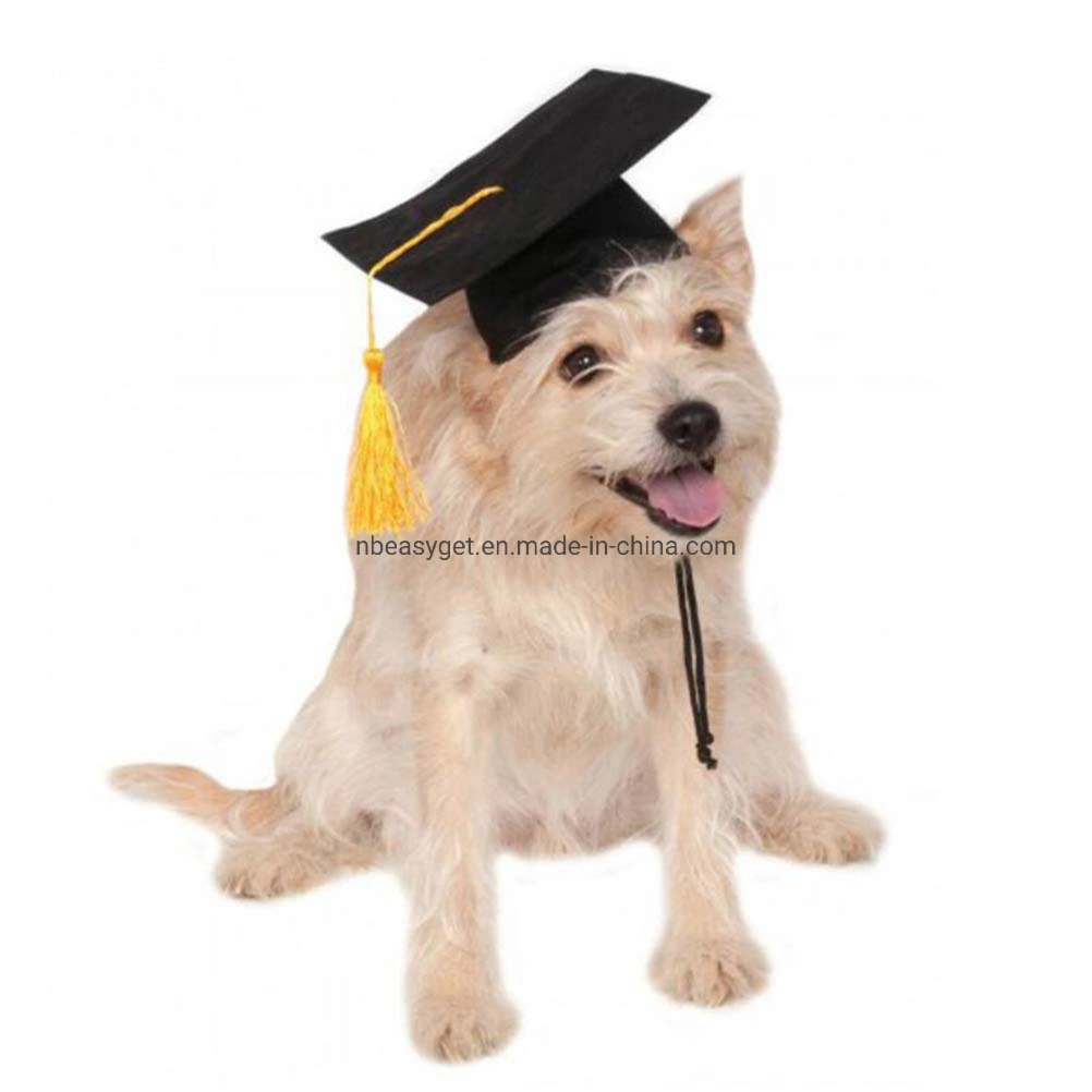 Graduation Hat Pet Accessories Black Graduation Hat with Adjustable Rope Design Pet Costume Hat Esg12444