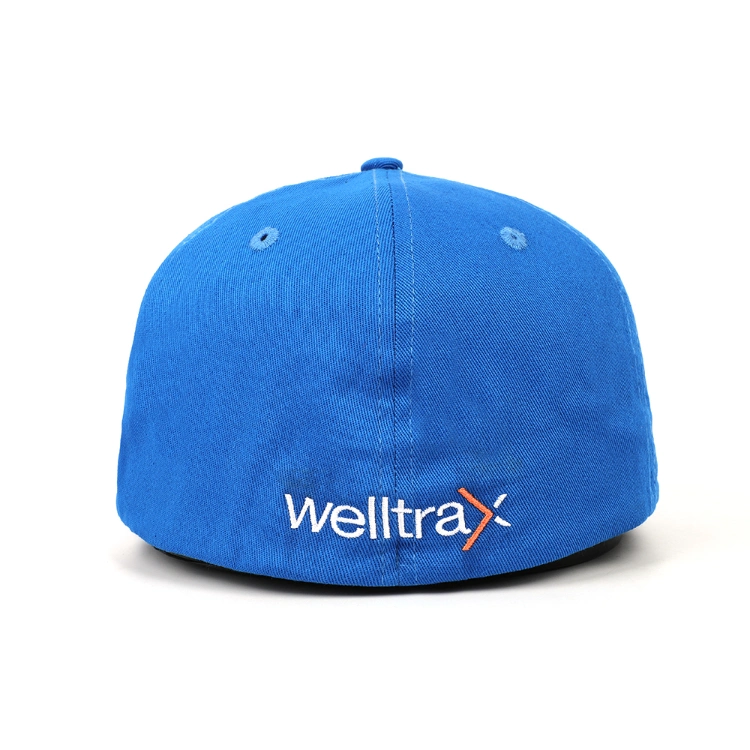 Customized Professional Popular Unisex Polyester Structured Flat Brim Blue Plastic Buckle Snapback Hat Cap with 3D Embroidery