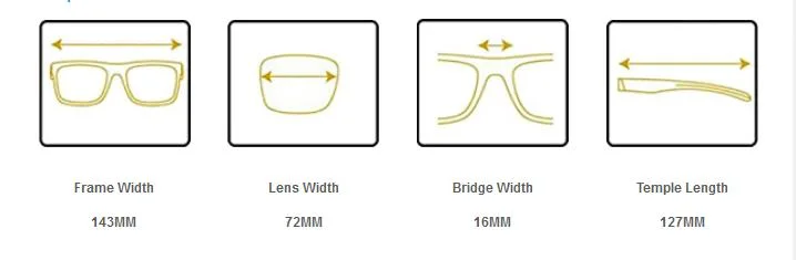 Tr90 Tac1.0 Polarized Lens Sungalsses Factory Price Sw-Kd0101-C4