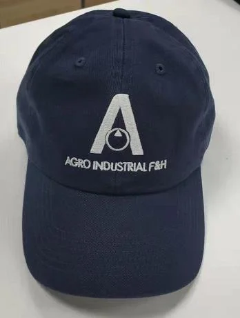 Company Name Custom Logo Embroidery Unstructured Promotion Hat