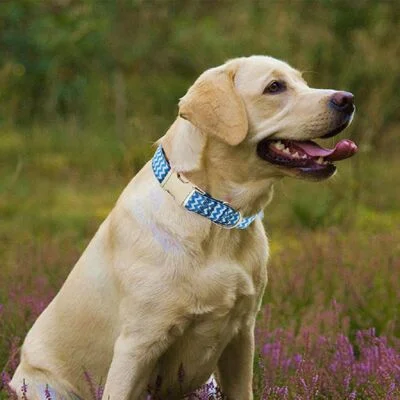 Wholesale Eco-Friendly Custom Cotton Elegant Plaid Printed Pet Dog Bandana