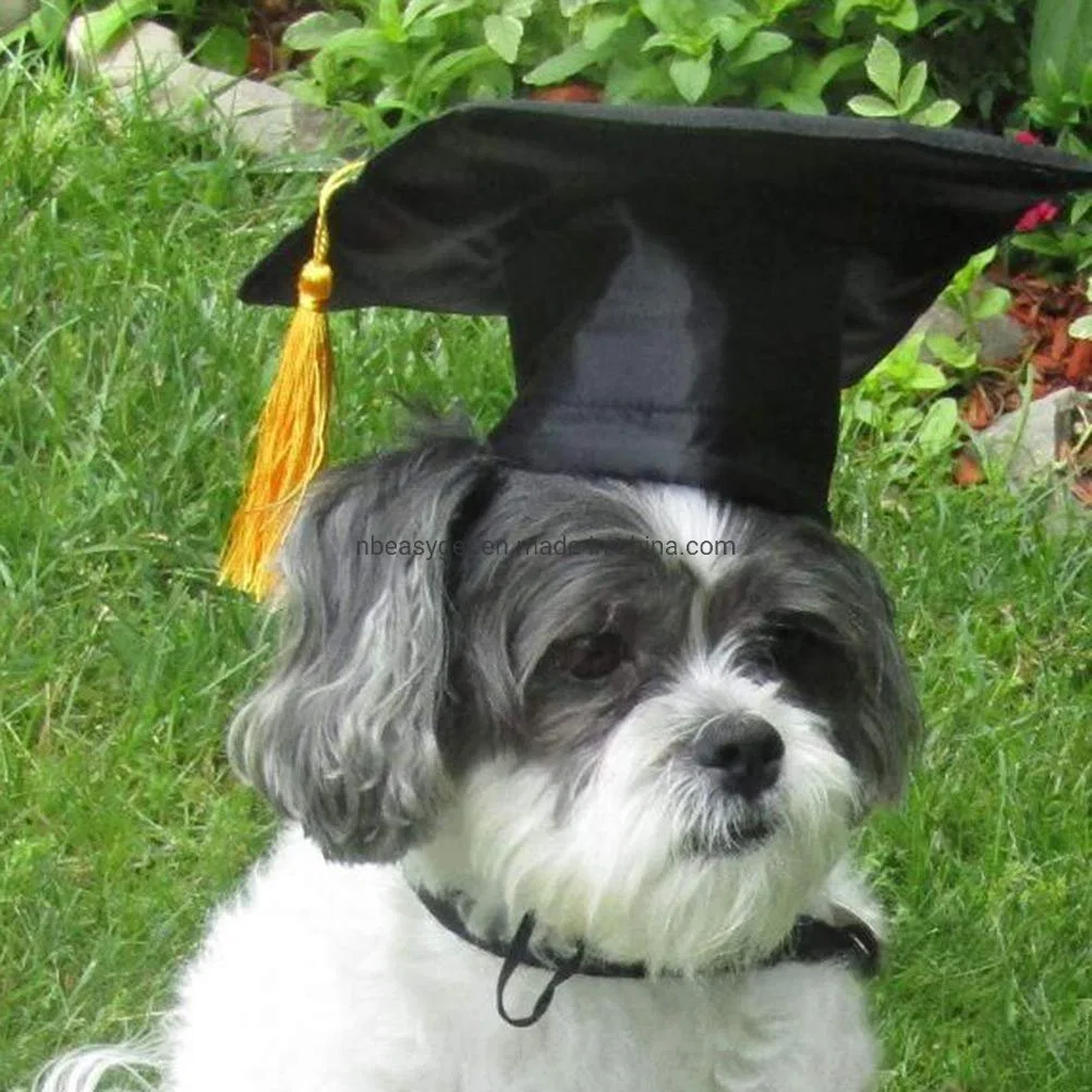 Graduation Hat Pet Accessories Black Graduation Hat with Adjustable Rope Design Pet Costume Hat Esg12444