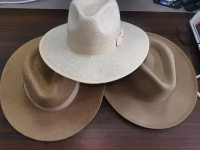 Heißer Verkauf Wintermode 100% Australische Wolle Damen Steifigkeit Krempenfilz Fedora Hüte
