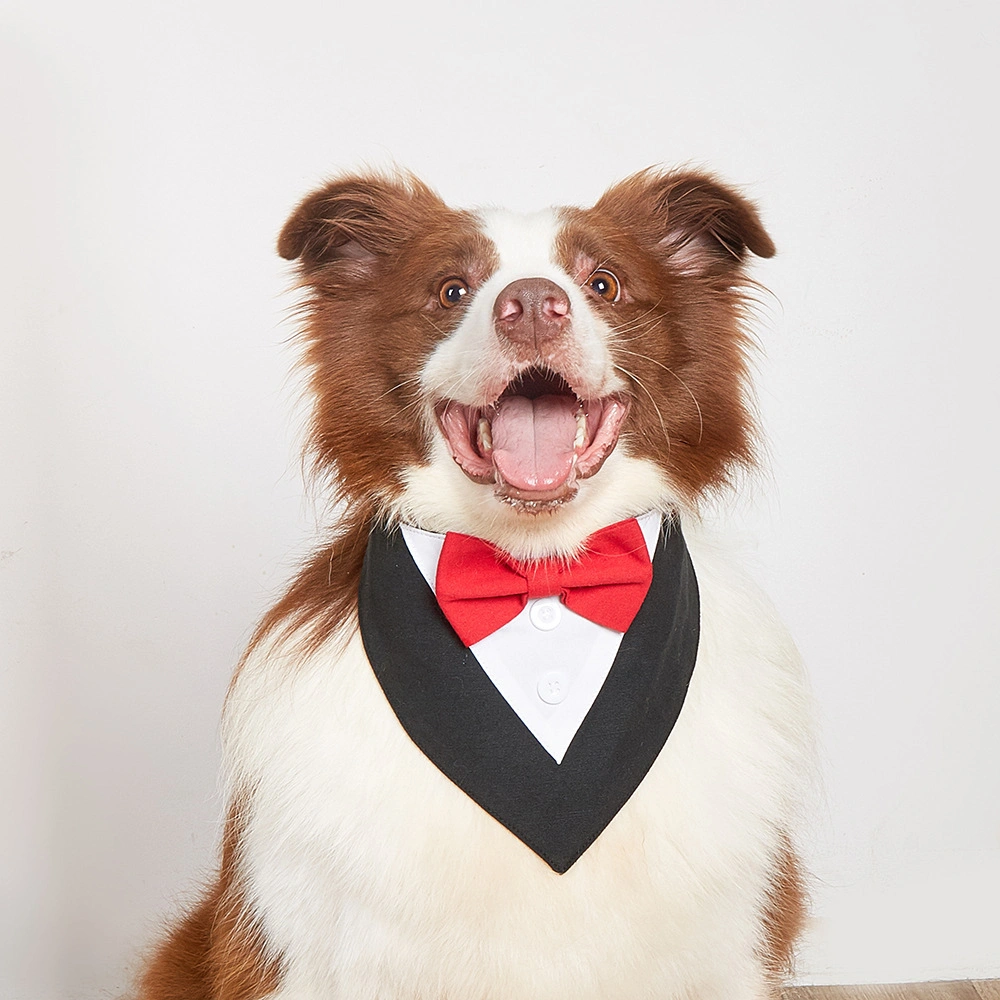 Dog Bandana Collar Scarf for Puppy &amp; Cat Small Medium Large Dogs Adjustable Collars Pet Handkerchief Bibs Dress-up Accessories