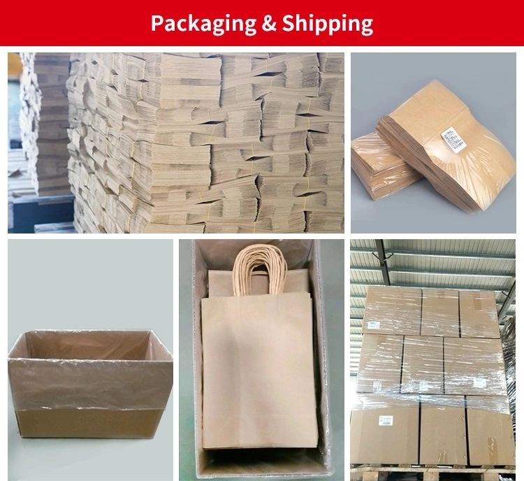 Gift Shopping Paper Packaging Bags with Handles for Business Boutique