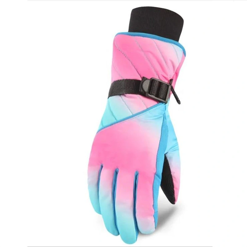 Thermal Windproof Waterproof Ski Gloves for Extreme Cold Weather