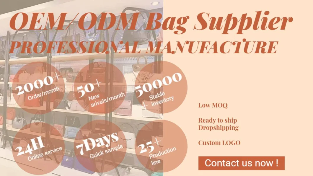 Wholesale Designer Replica Online Store Women Bags Ladies Fashionable Bag