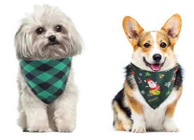 Hot Selling Vendita all&prime;ingrosso grande quantità personalizzata stampato cotone con logo colorato Halloween Ringraziamento PET Bandana