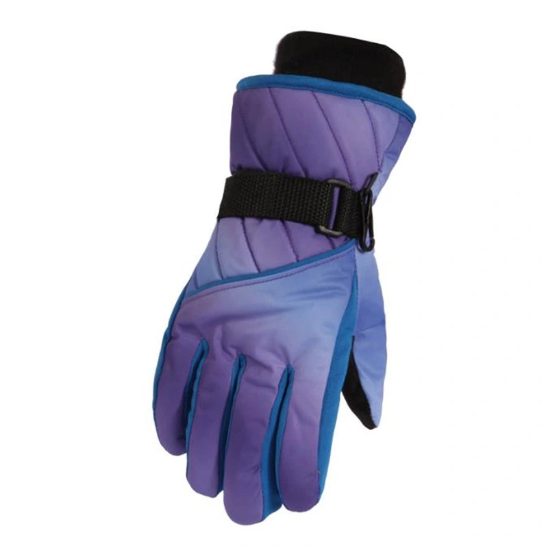 Thermal Windproof Waterproof Ski Gloves for Extreme Cold Weather