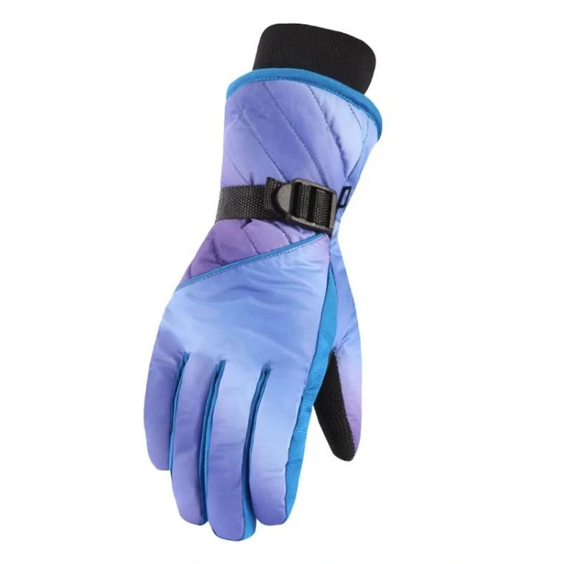 Thermal Windproof Waterproof Ski Gloves for Extreme Cold Weather