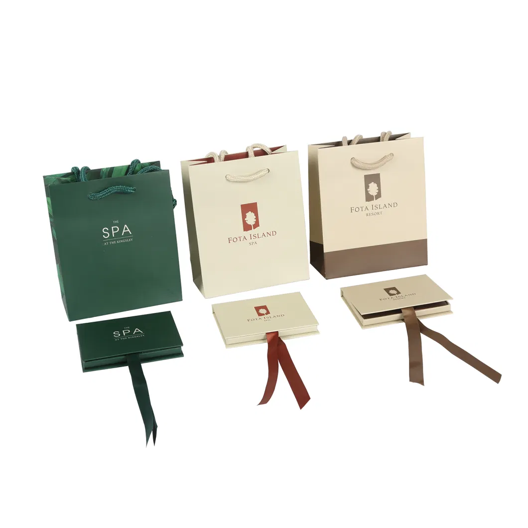 Luxury Custom Print Branded Paper Bag Packaging Gift Packing Cardboard Large Shopping Bag with Handle