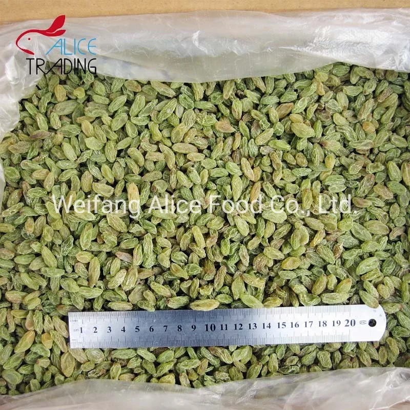 Wholesale Turban Raisins Bulk and Cheap Price Dried Green Raisins