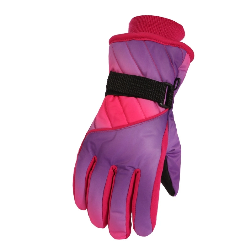 Thermal Windproof Waterproof Ski Gloves for Extreme Cold Weather