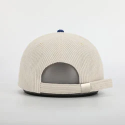 OEM Custom 6 Panel Two Tone Adjustable Corduroy Baseball Cap, Plain Curved Brim Gorras, Embroidery Logo Corduroy Dad Hat