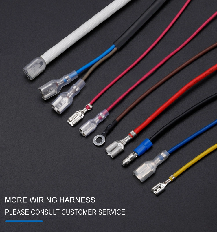 China Factory Electric Storage Battery Ring Terminal Wiring Harness OEM Molex Jst 3 Pin 5 Pin 6 Pin Connector Electronic Battery