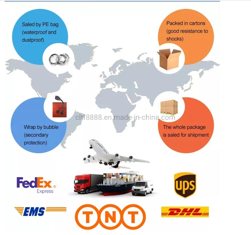 Hot Selling Durable Wire Terminal Wire Electrical Terminal Automotive Wire Terminal with Connectors