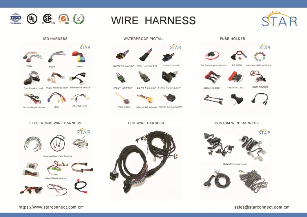 OEM ODM Custom Customized IATF16949 ISO9001 Factory Supply Auto Automotive Audi Engine Wire Wiring Harness with Jst Molex Tyco Deutsch Connector