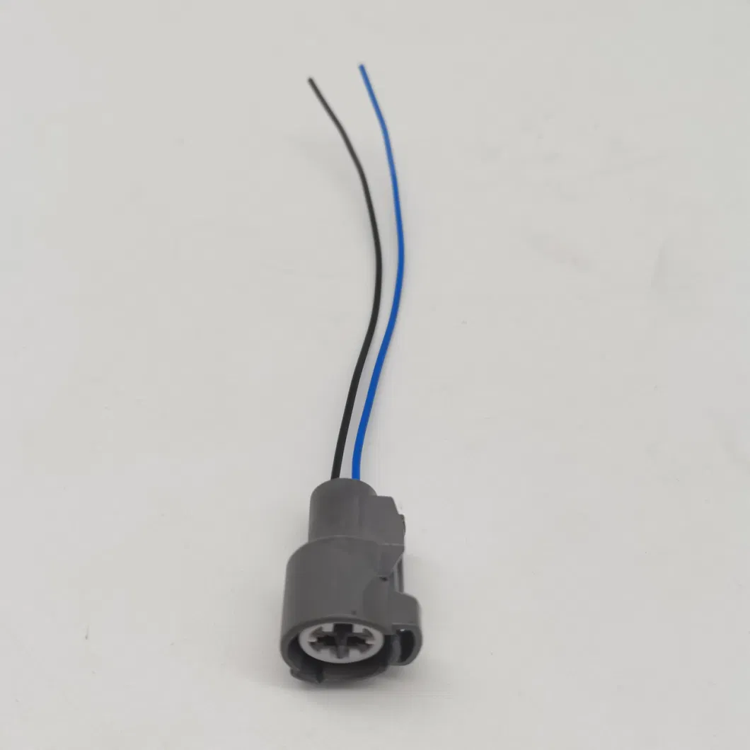 6189-0156 Original Genuine 2-Pin Sheath Can Be Equipped with Terminal Car Wiring Harness Butt Connector Socket Car