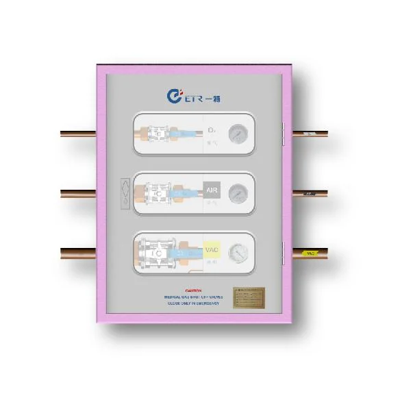 Low Cost British Standard Gas Terminal for ICU Medical Equipment