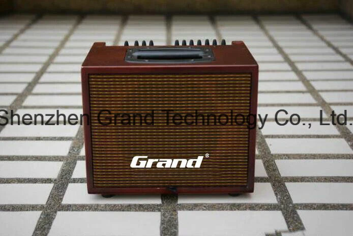 Chinese Made Grand Compact60 Type Acoustic Guitar Amplifier 60W