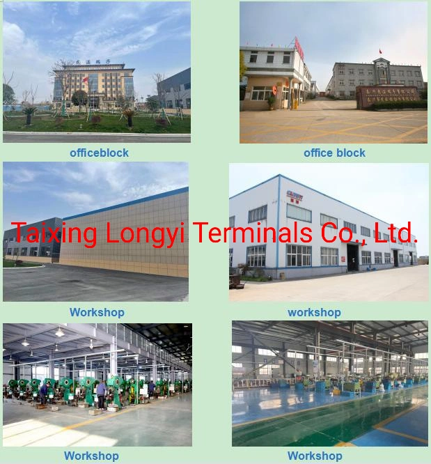 Non-Insulated Terminals, Ring Shape, T2 Copper, Tin Plating, Applicable to Wind Power Generation, Rail Transit Industry, German Standard Terminals