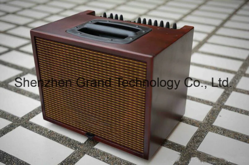 Chinese Made Grand Compact60 Type Acoustic Guitar Amplifier 60W